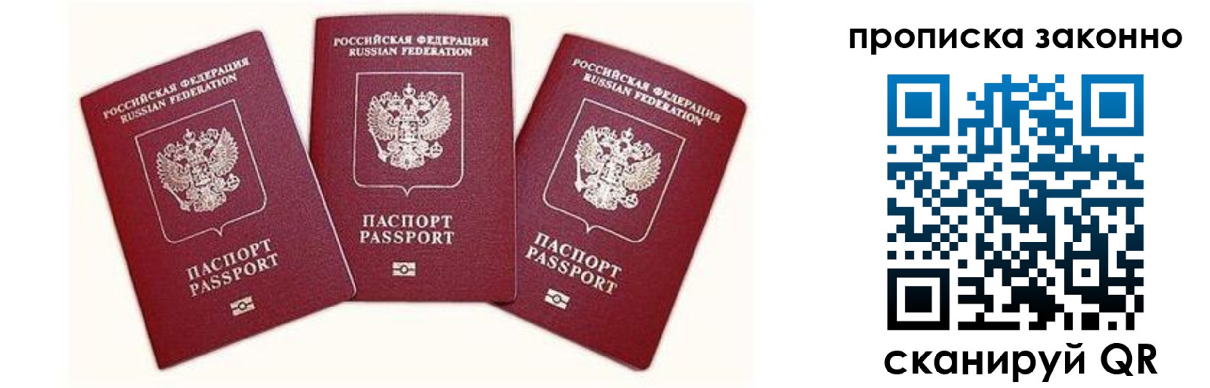 прописка законно в Владимире